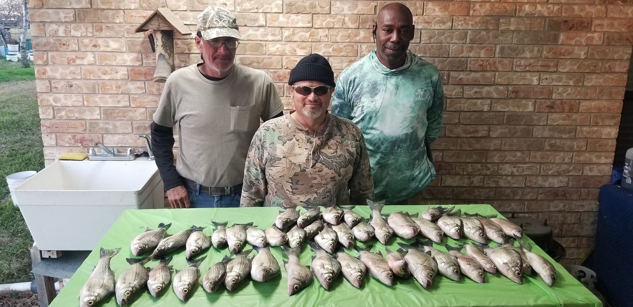 White Bass (Jan 2023)