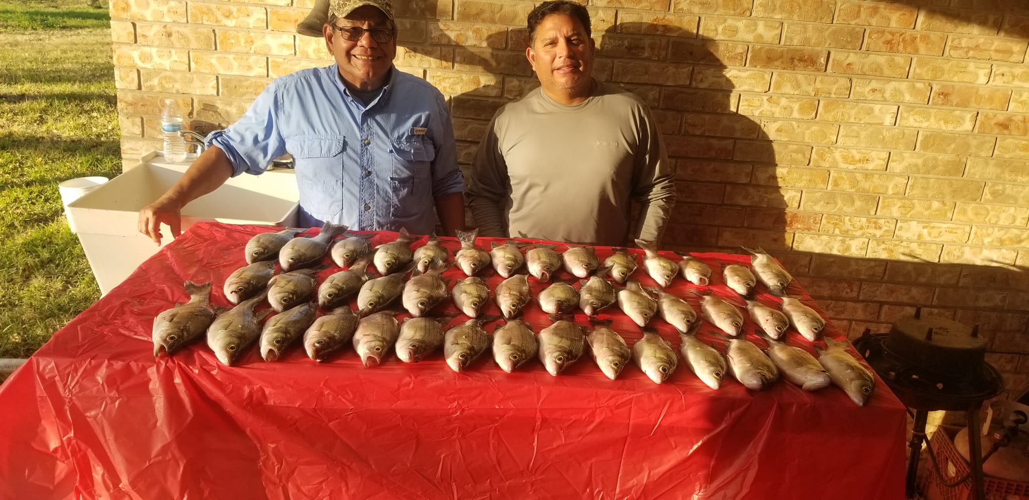 White Bass (Jan 2023)