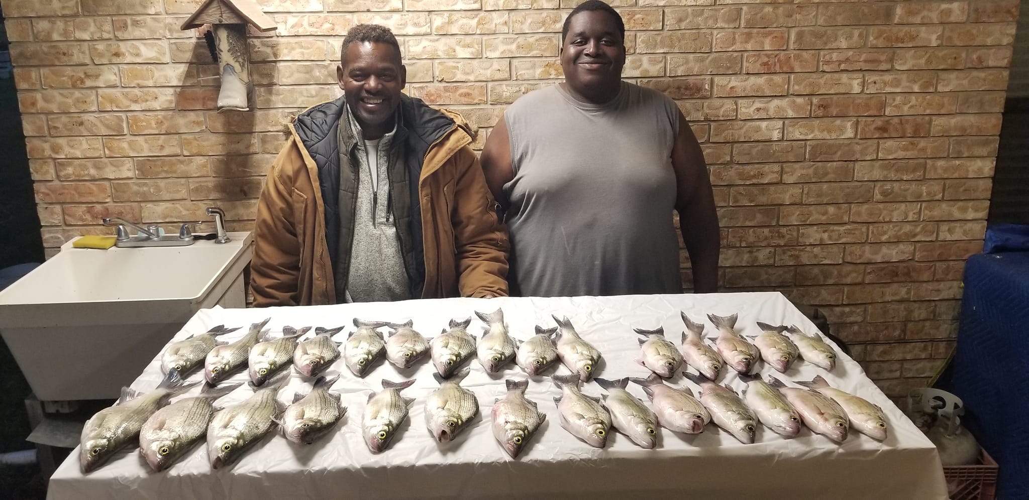 White Bass (Jan 2023)