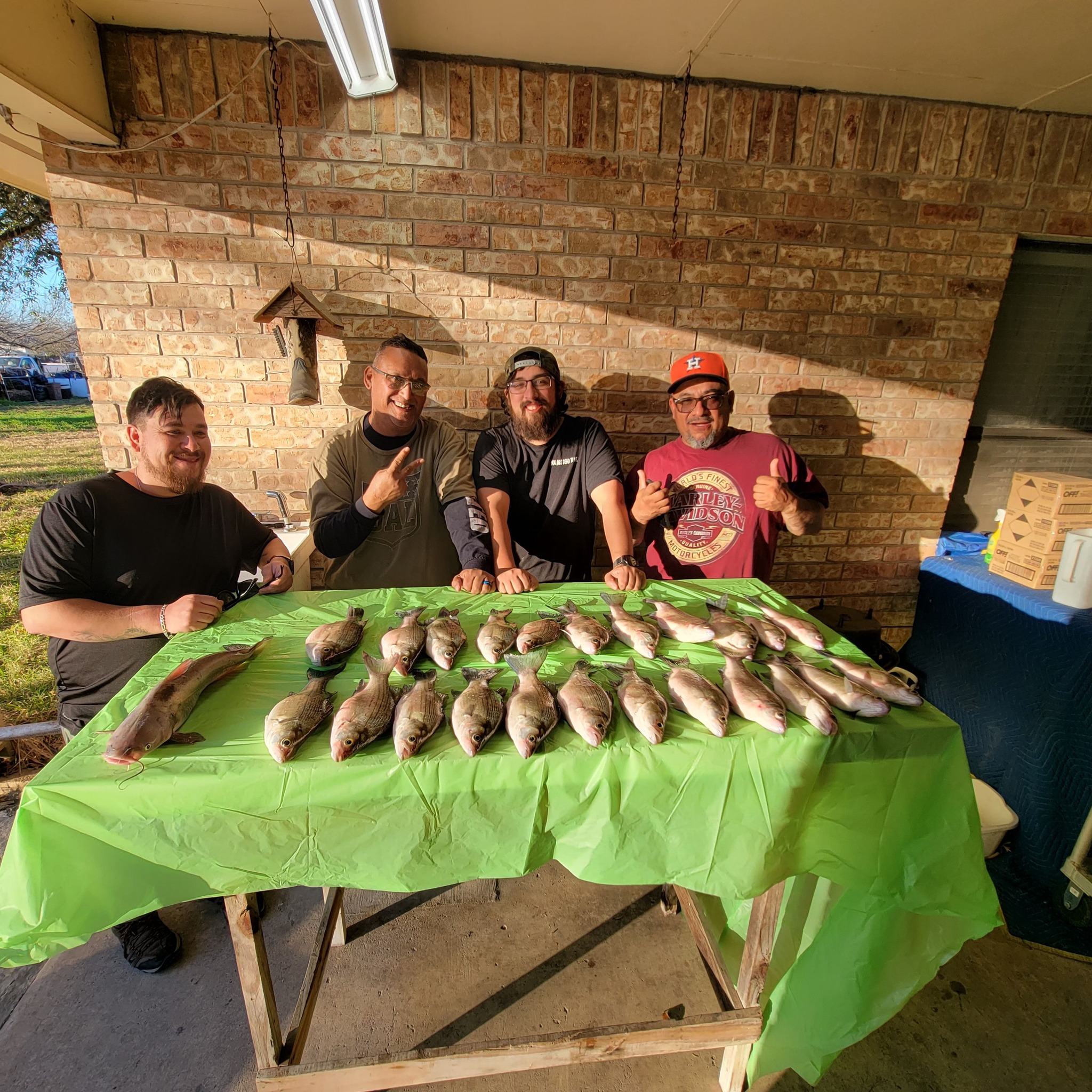 White Bass (Jan 2023)